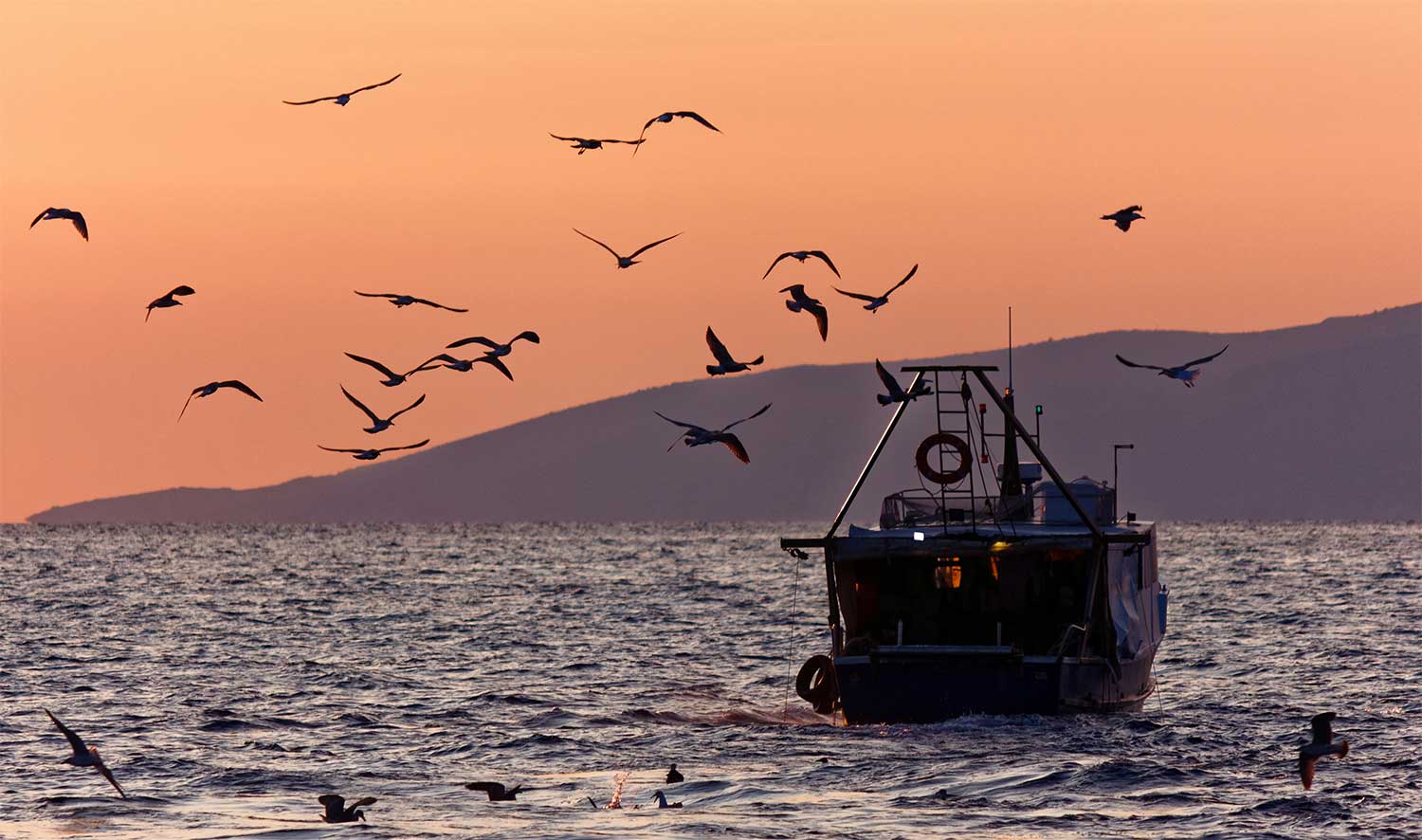 Pche 4 Ever : un projet pour dcarboner la pche maritime